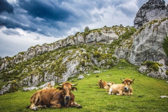 Entre terre et mer en Asturias
